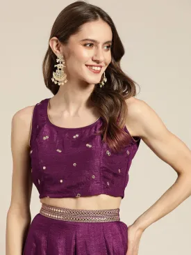 Women Burgundy Mirror Embroidered Sleeveless Crop Top